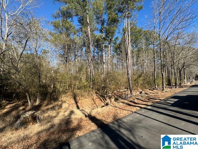 437 Hall Burton Road, Unit 1 Sumiton, AL 35148 - Photo 4 of 6