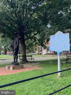 a view of a park with large trees