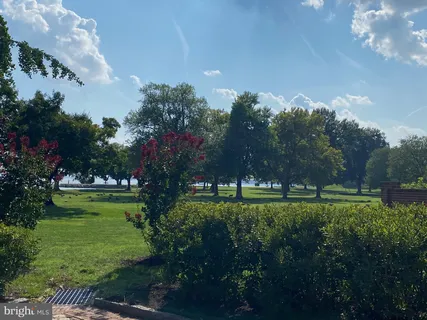 a big yard with lots of green space and trees