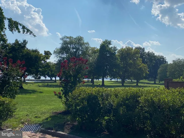 a big yard with lots of green space and trees