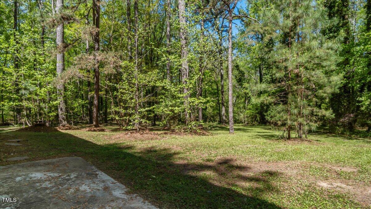 110 Omega Road Henderson, NC 27536 - Photo 56 of 59 54-pmega rd (51 of 55)