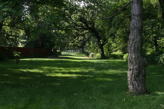 41-w933 Beith Road Elburn, IL 60119 - Photo 3 of 9