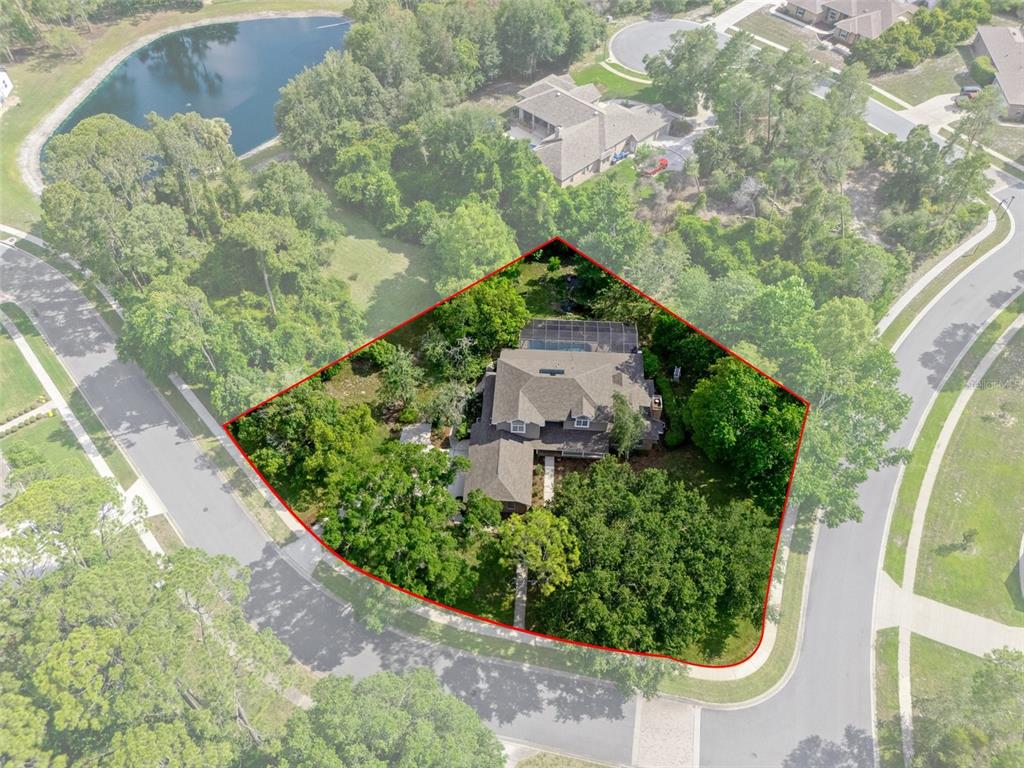 7268 Crystal Spring Run Weeki Wachee, FL 34607 - Photo 4 of 100