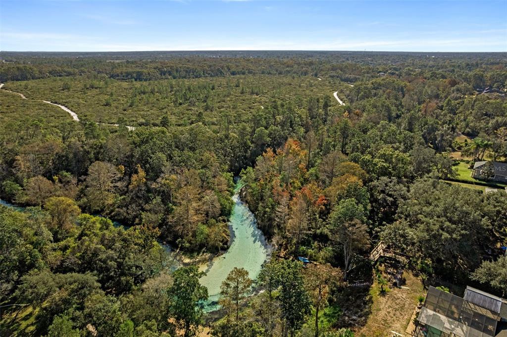 7268 Crystal Spring Run Weeki Wachee, FL 34607 - Photo 89 of 100