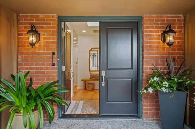 a potted plant in front of a glass door