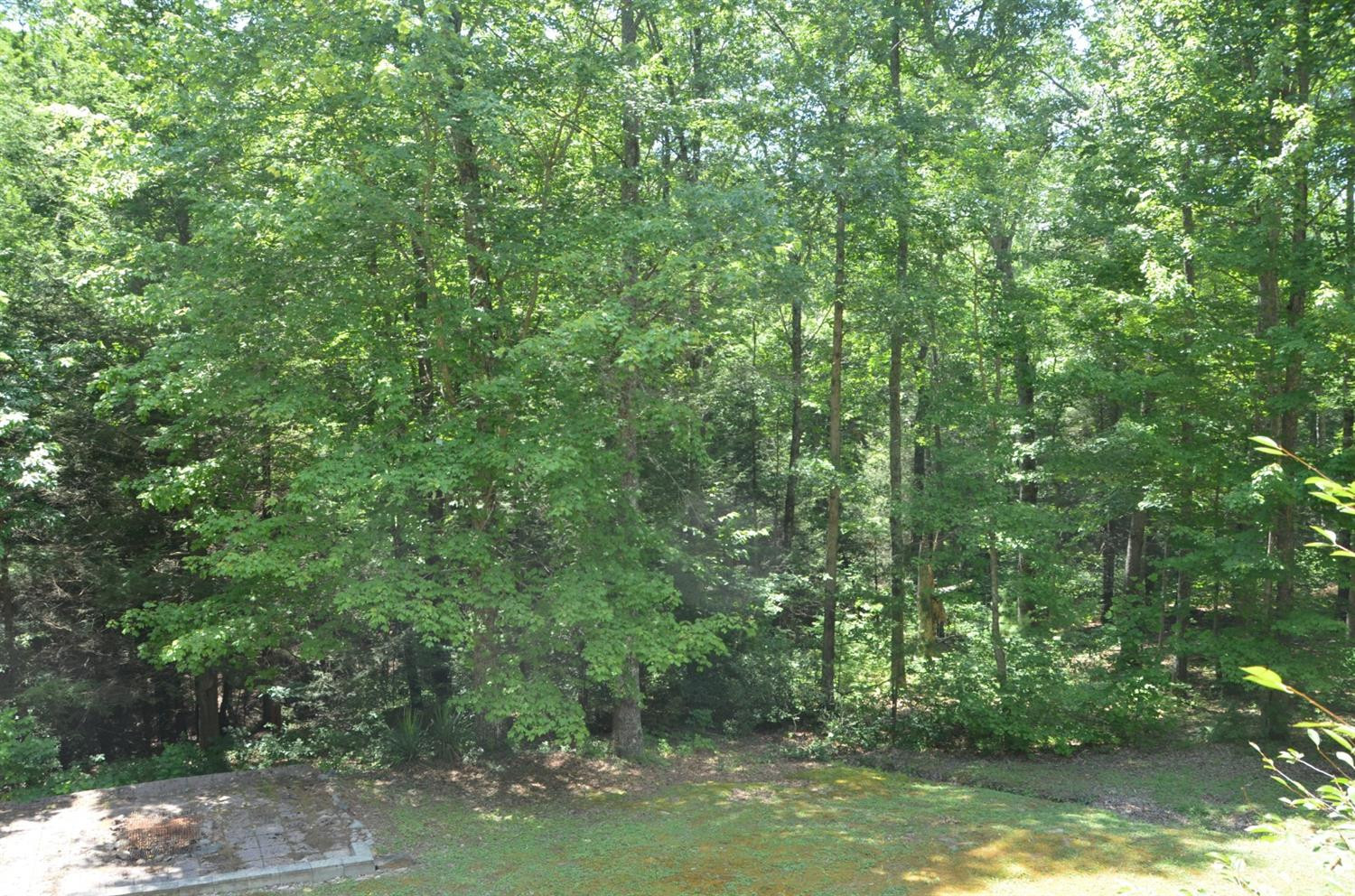 178 Spring Hill Road Wellington, KY 40387 - Photo 3 of 35 Photo 3