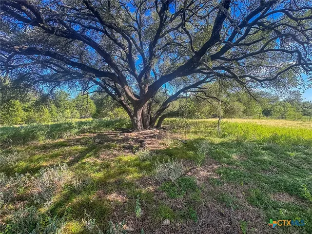 a view of yard with green space