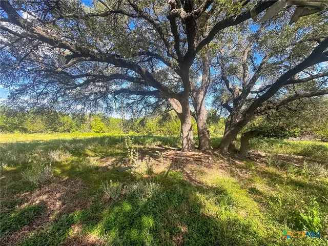 a view of yard with trees