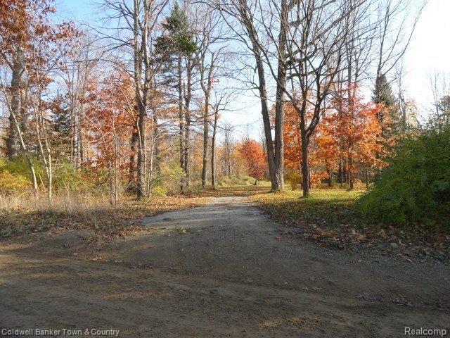 26836 Johns Road Wixom, MI 48393 - Photo 1 of 2 Johns Rd.JPG