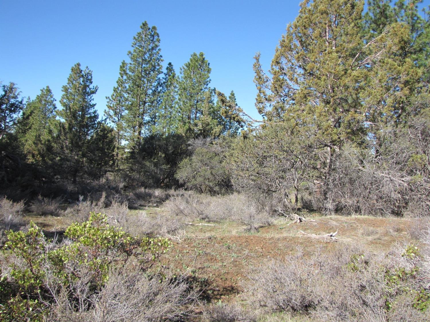 0 Hummingbird Drive Bonanza, OR 97623 - Photo 11 of 13 Additional Photo