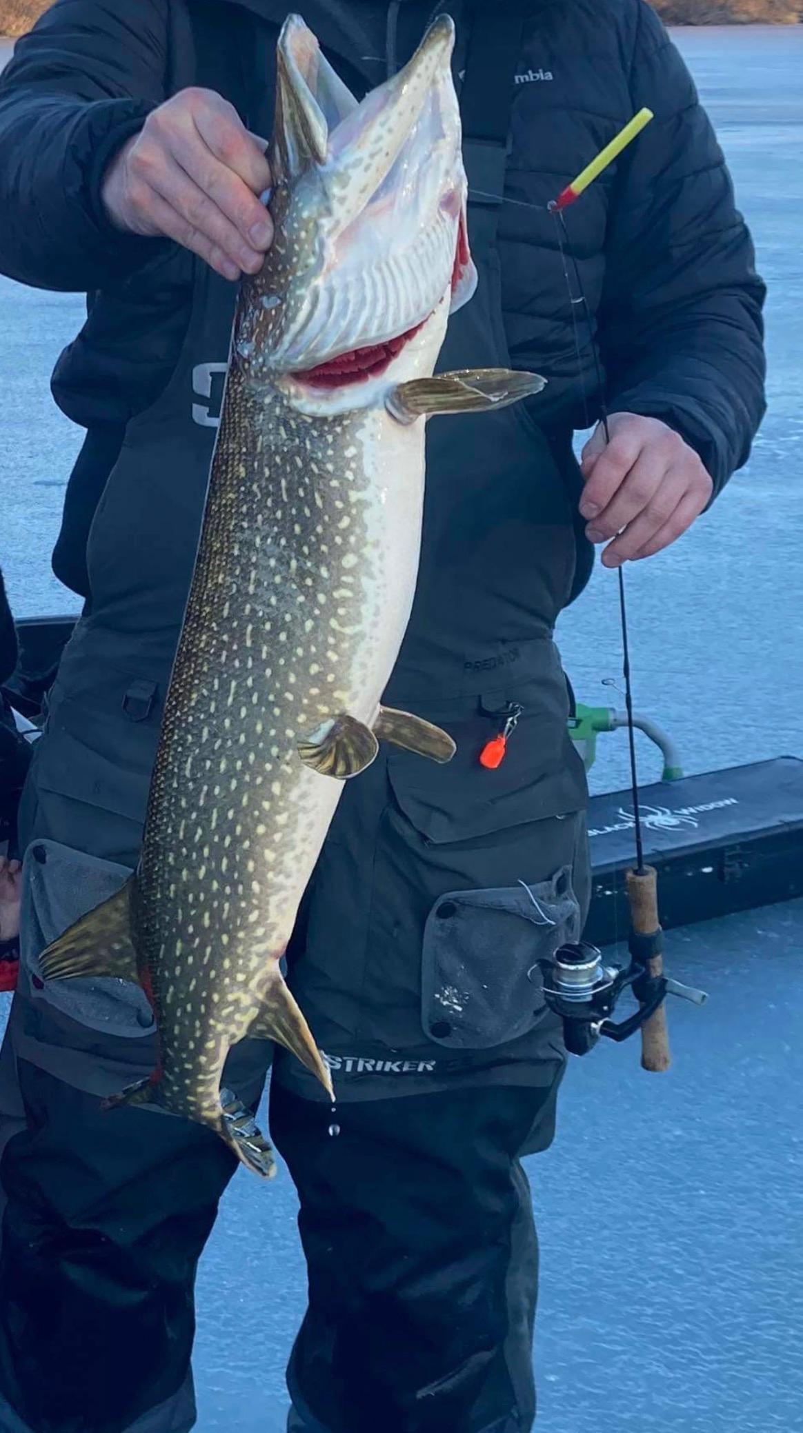 N3474 Fenander Road Sarona, WI 54870 - Photo 54 of 54