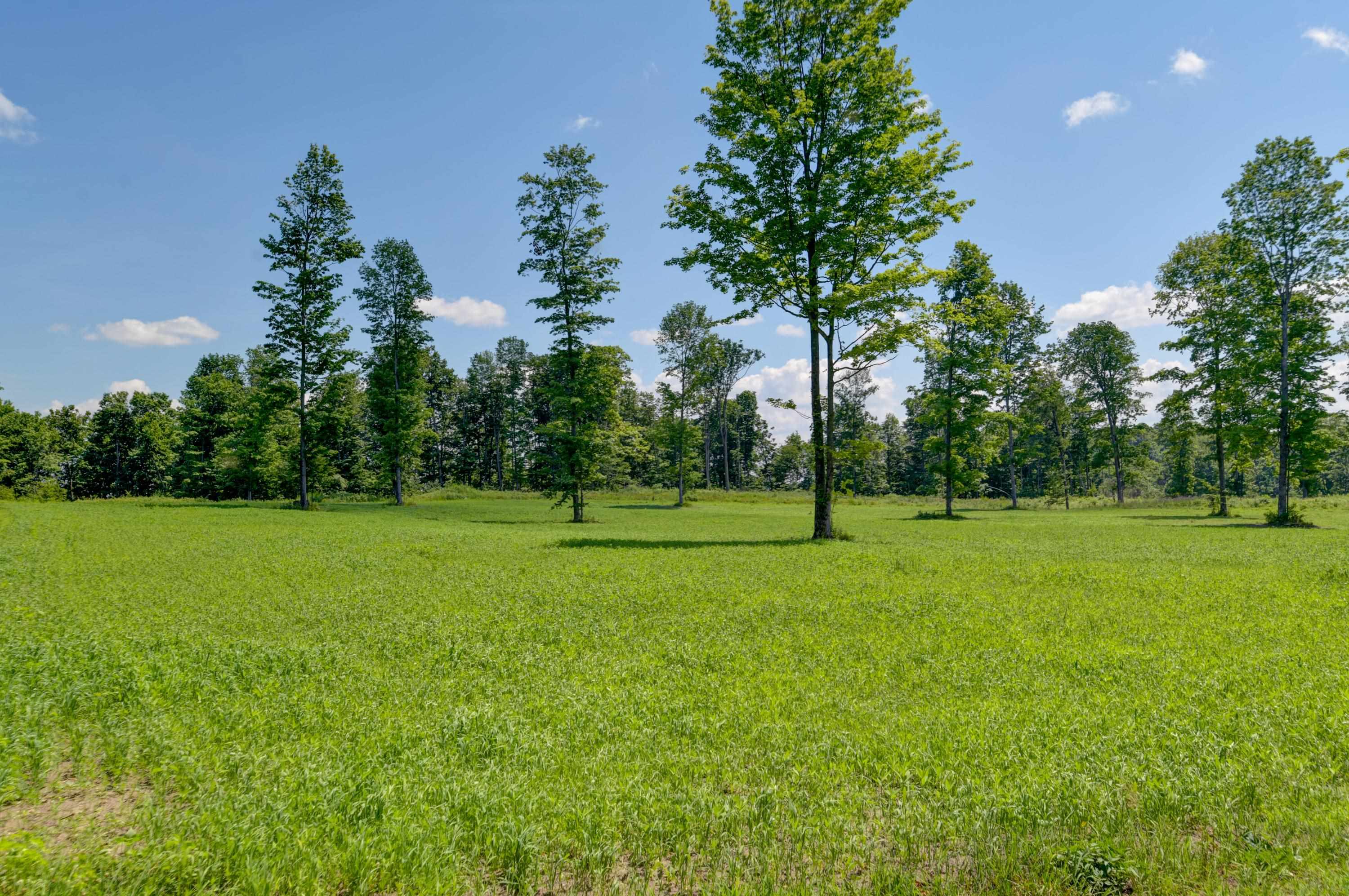 3375 Crum Road Benzonia, MI 49616 - Photo 70 of 71 Gallery Image 70