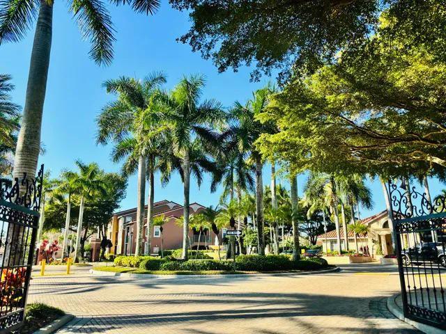a view of a palm trees