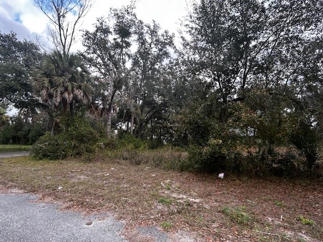 1109 East Drew Street Perry, FL 32347 - Photo 17 of 18