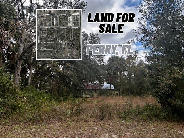 1109 East Drew Street Perry, FL 32347 - Photo 18 of 18