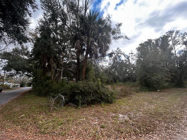 1109 East Drew Street Perry, FL 32347 - Photo 3 of 18