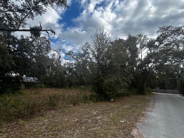 1109 East Drew Street Perry, FL 32347 - Photo 7 of 18