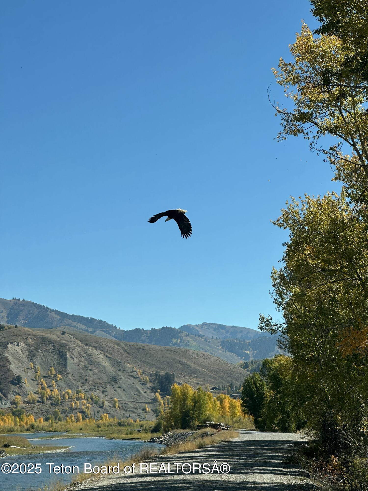 1325 Munger Mountain Road Jackson, WY 83001 - Photo 46 of 49 1325 Munger Mountain Road