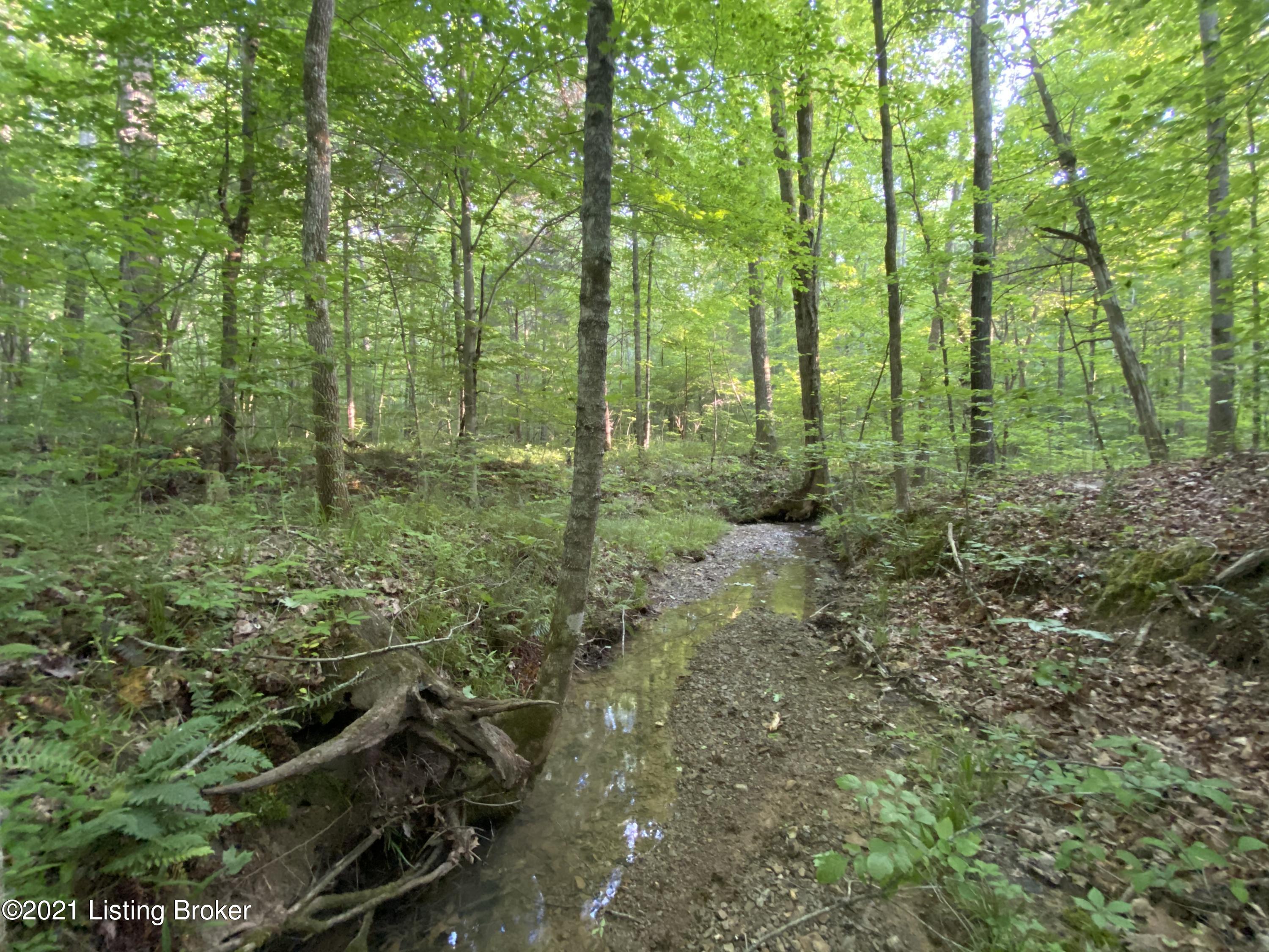 201 A Fox Run Road Caneyville, KY 42721 - Photo 14 of 14 Tract A