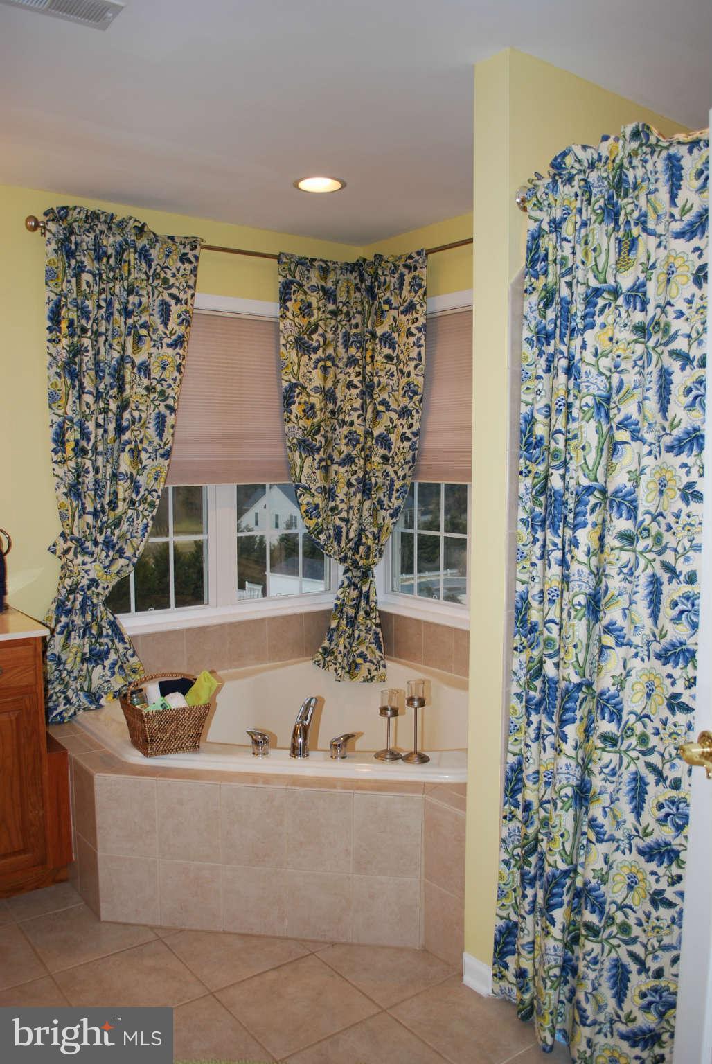 285 Ailsa Drive Rising Sun, MD 21911 - Photo 17 of 30 Bath (Master)
