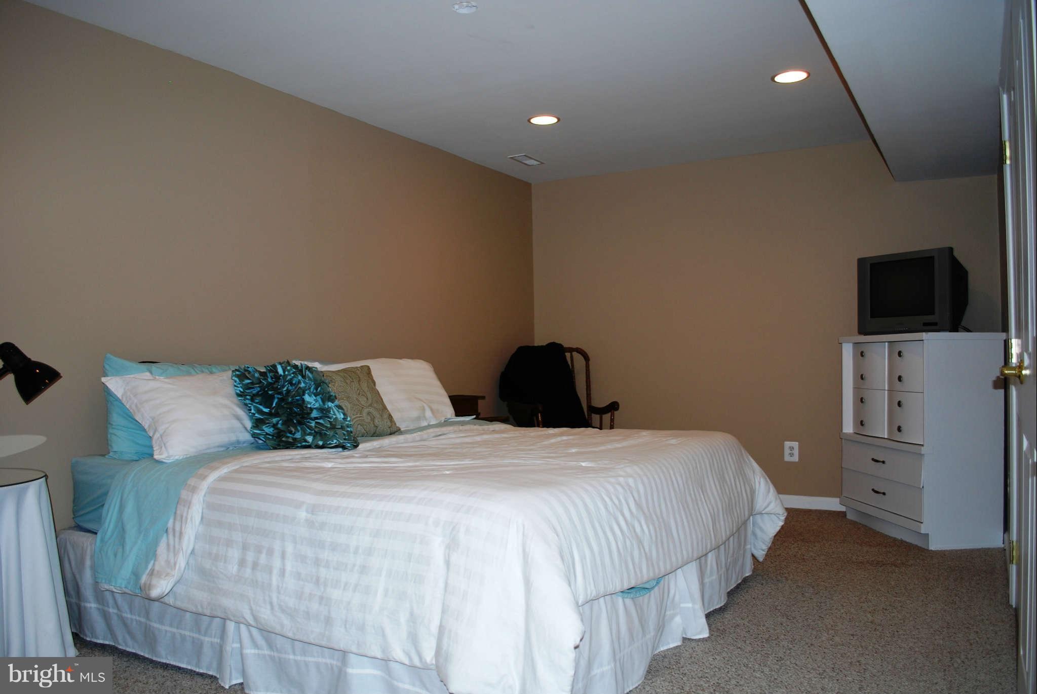 285 Ailsa Drive Rising Sun, MD 21911 - Photo 21 of 30 Bsmt Bedroom
