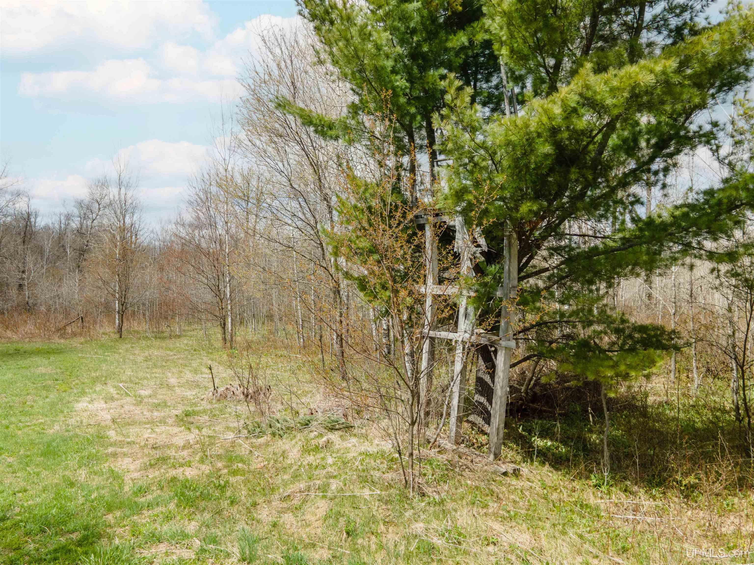 3 Easement Road, Unit LOT 3 Long Lake, WI 54542 - Photo 15 of 25