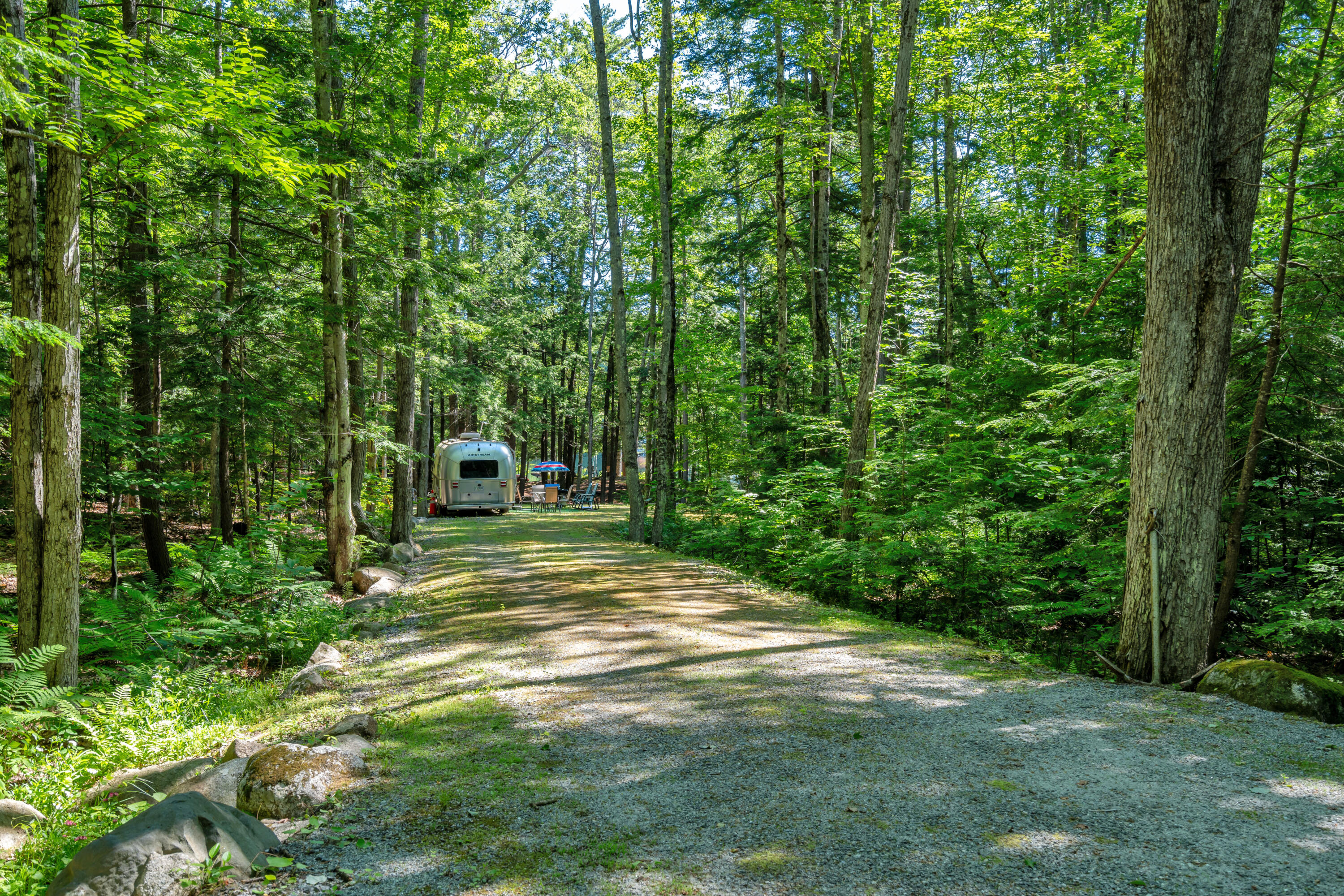 0 Stevens Cove Road Bridgton, ME 04009 - Photo 13 of 39 DSC09626