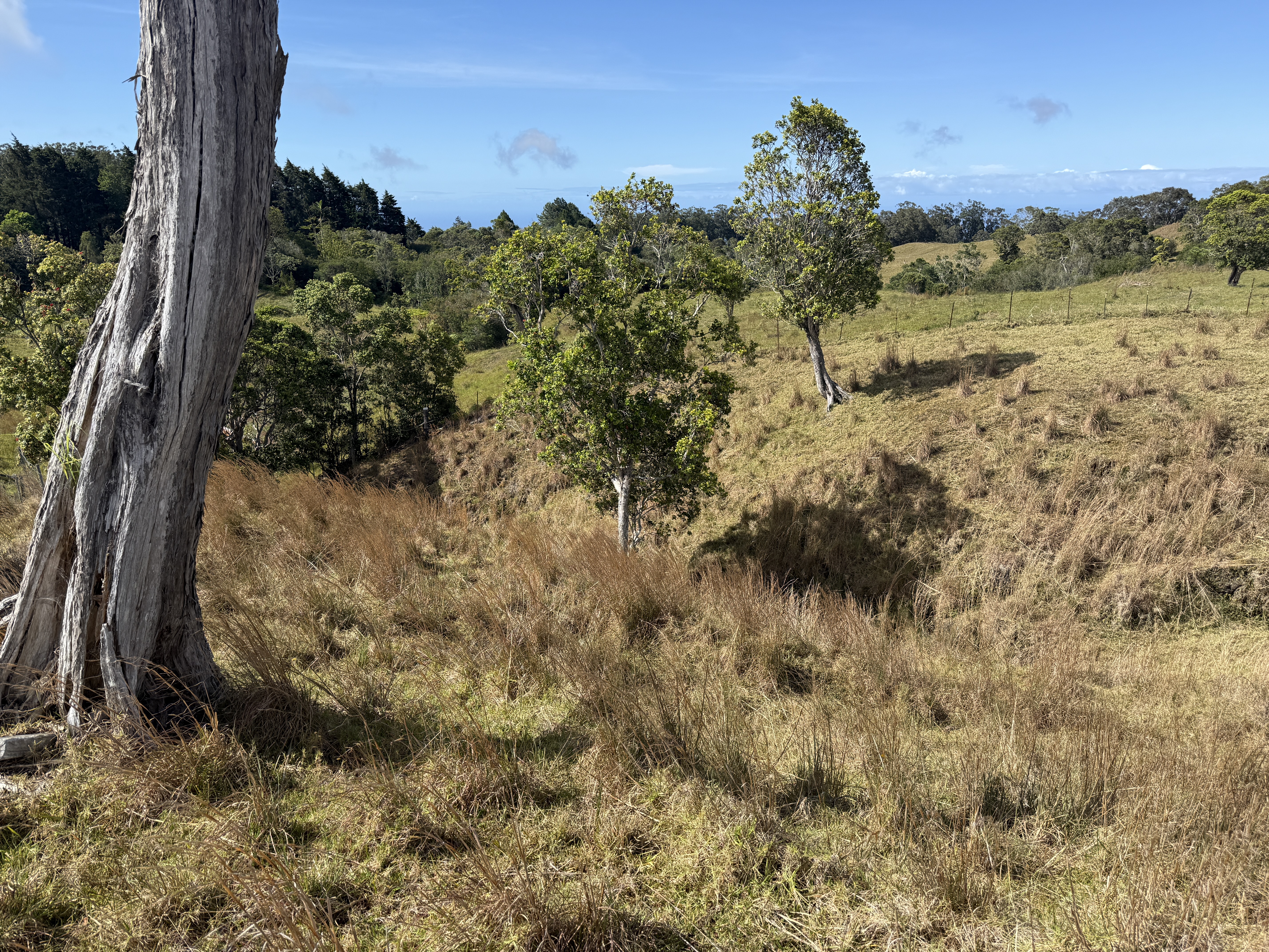 44-2135 Pohakealani Road Paauilo, HI 96776 - Photo 14 of 28 a view of a lake with a mountain