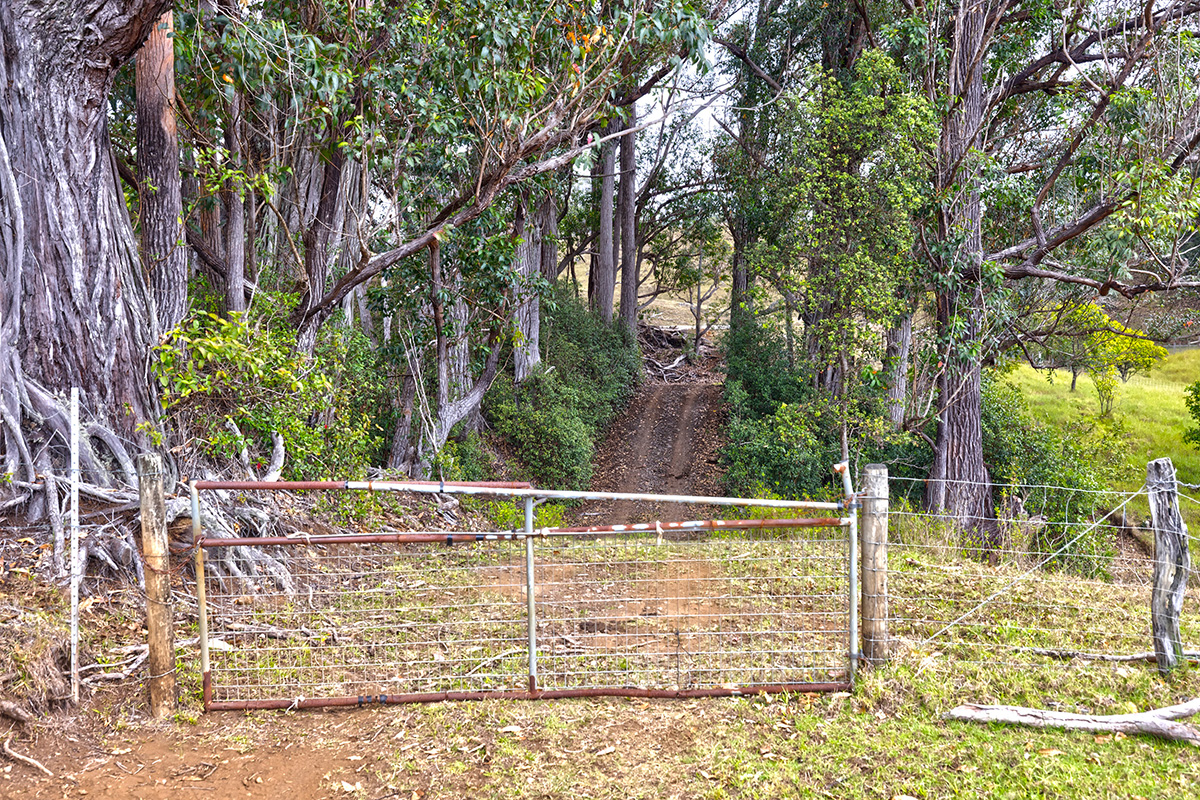 44-2135 Pohakealani Road Paauilo, HI 96776 - Photo 2 of 28 a view of outdoor space with backyard