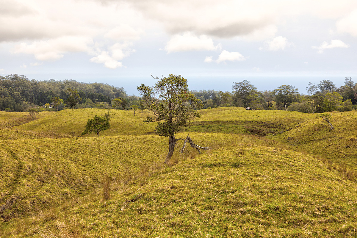 44-2135 Pohakealani Road Paauilo, HI 96776 - Photo 21 of 28 a view of an ocean