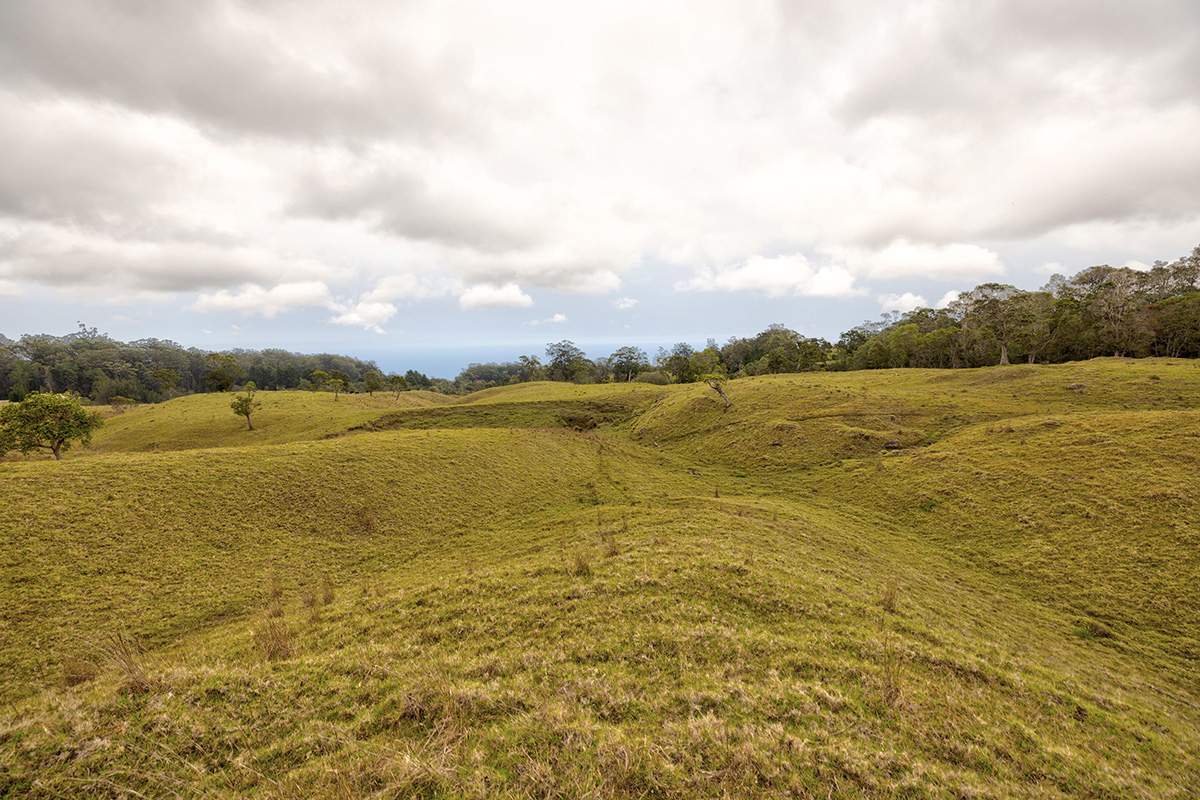 44-2135 Pohakealani Road Paauilo, HI 96776 - Photo 24 of 28 a view of an ocean