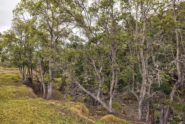 a view of lot of ocean