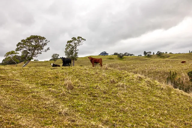 a view of a lake with outdoor space