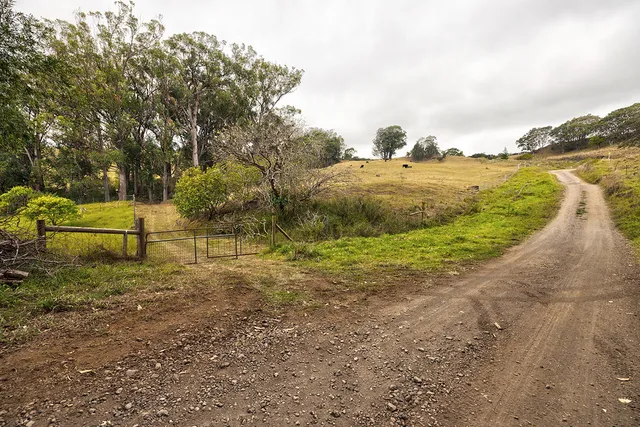 a view of a lake with beach and large trees