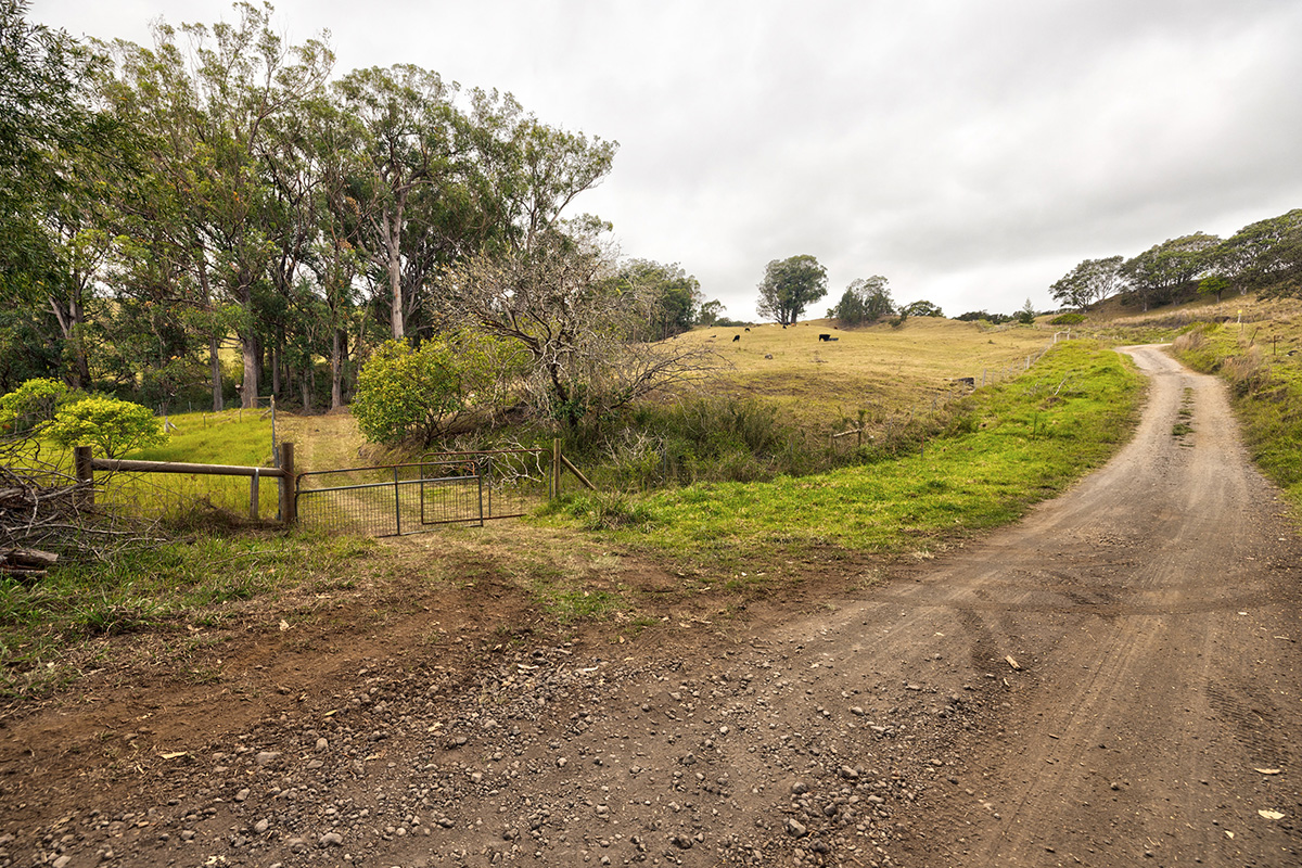 44-2135 Pohakealani Road Paauilo, HI 96776 - Photo 3 of 28 a view of a lake with beach and large trees