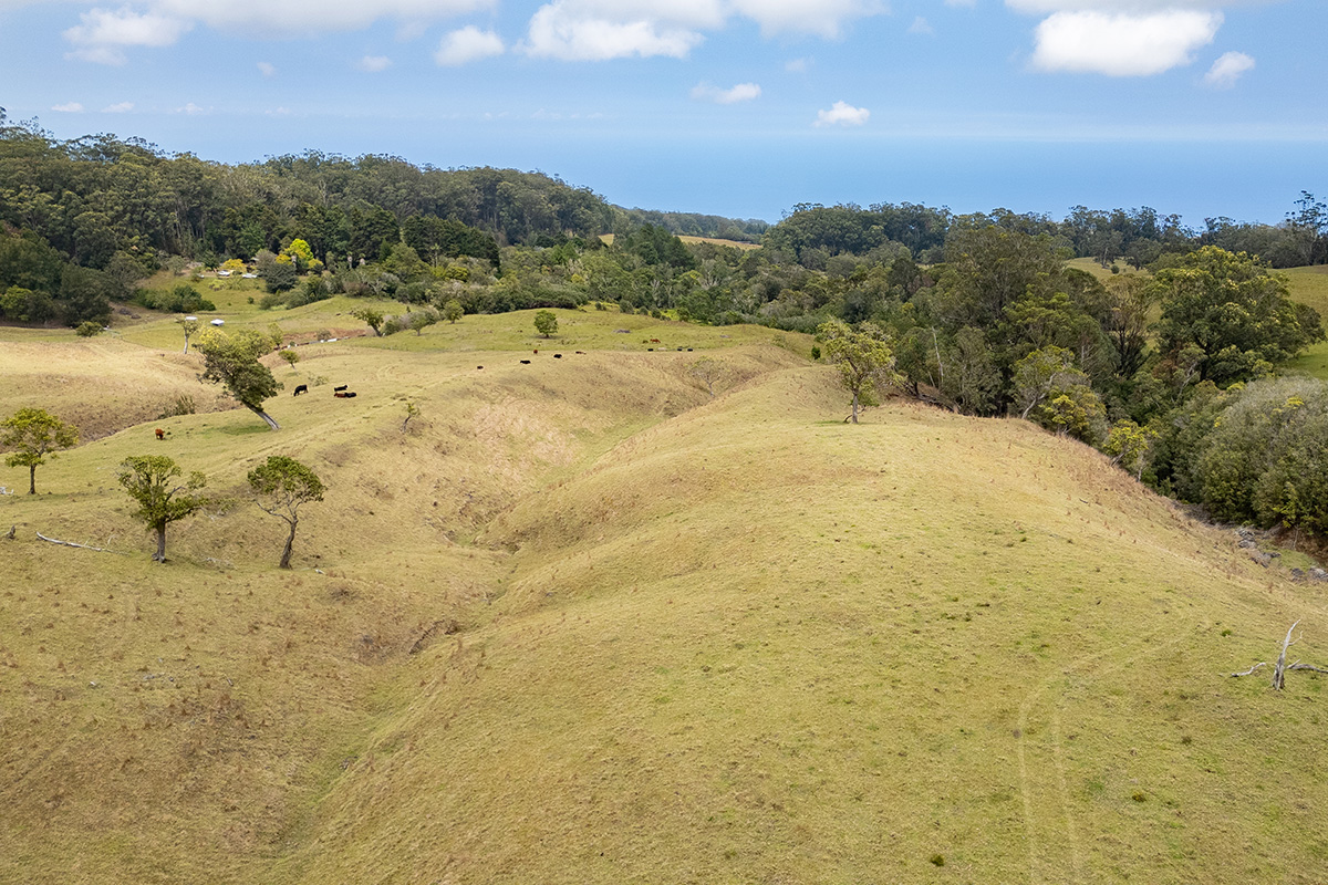 44-2135 Pohakealani Road Paauilo, HI 96776 - Photo 7 of 28 a view of a dry yard with mountains in the background