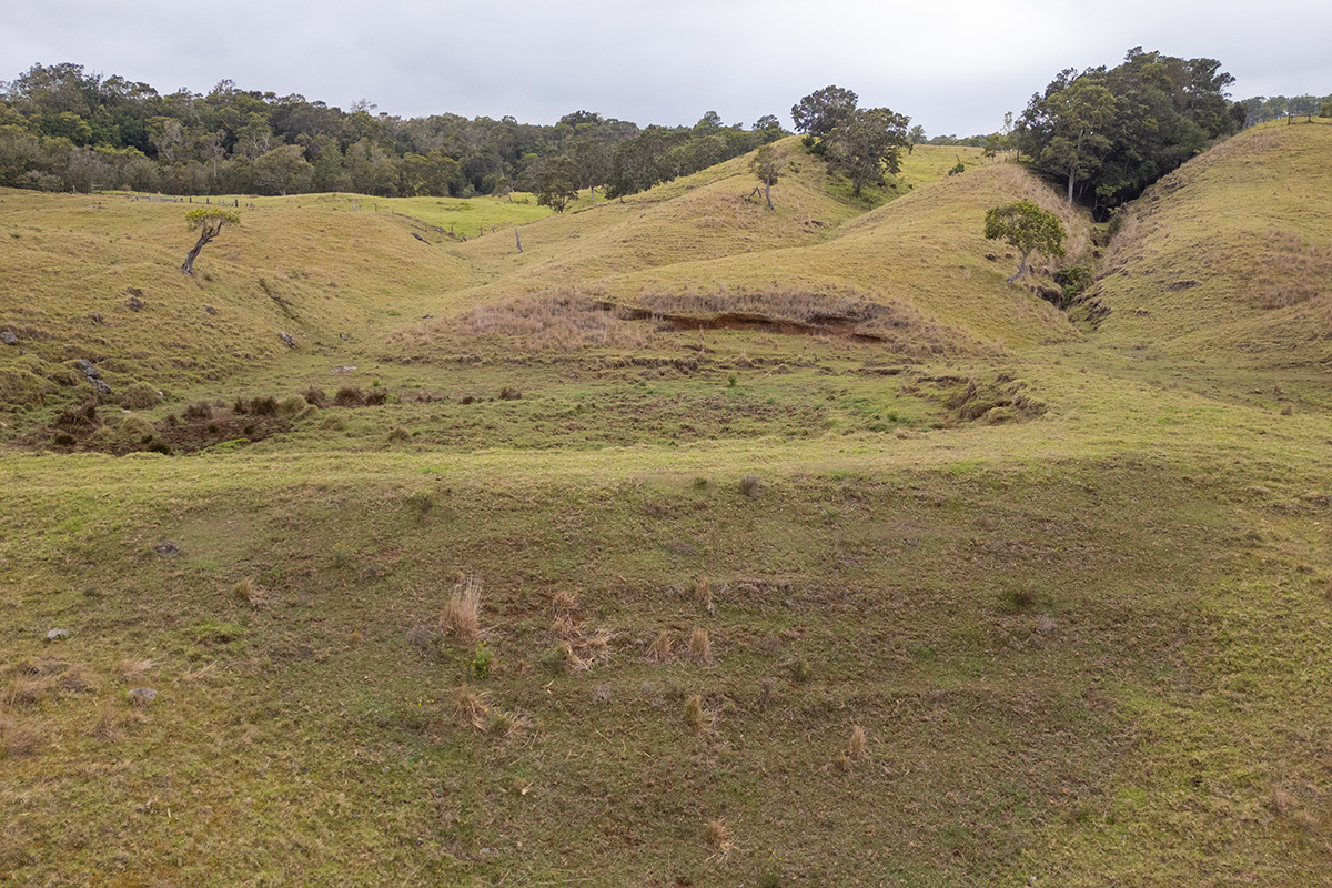 44-2135 Pohakealani Road Paauilo, HI 96776 - Photo 8 of 28 a view of lake and mountain