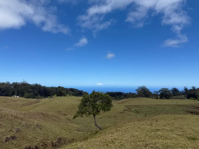 a view of outdoor space and trees