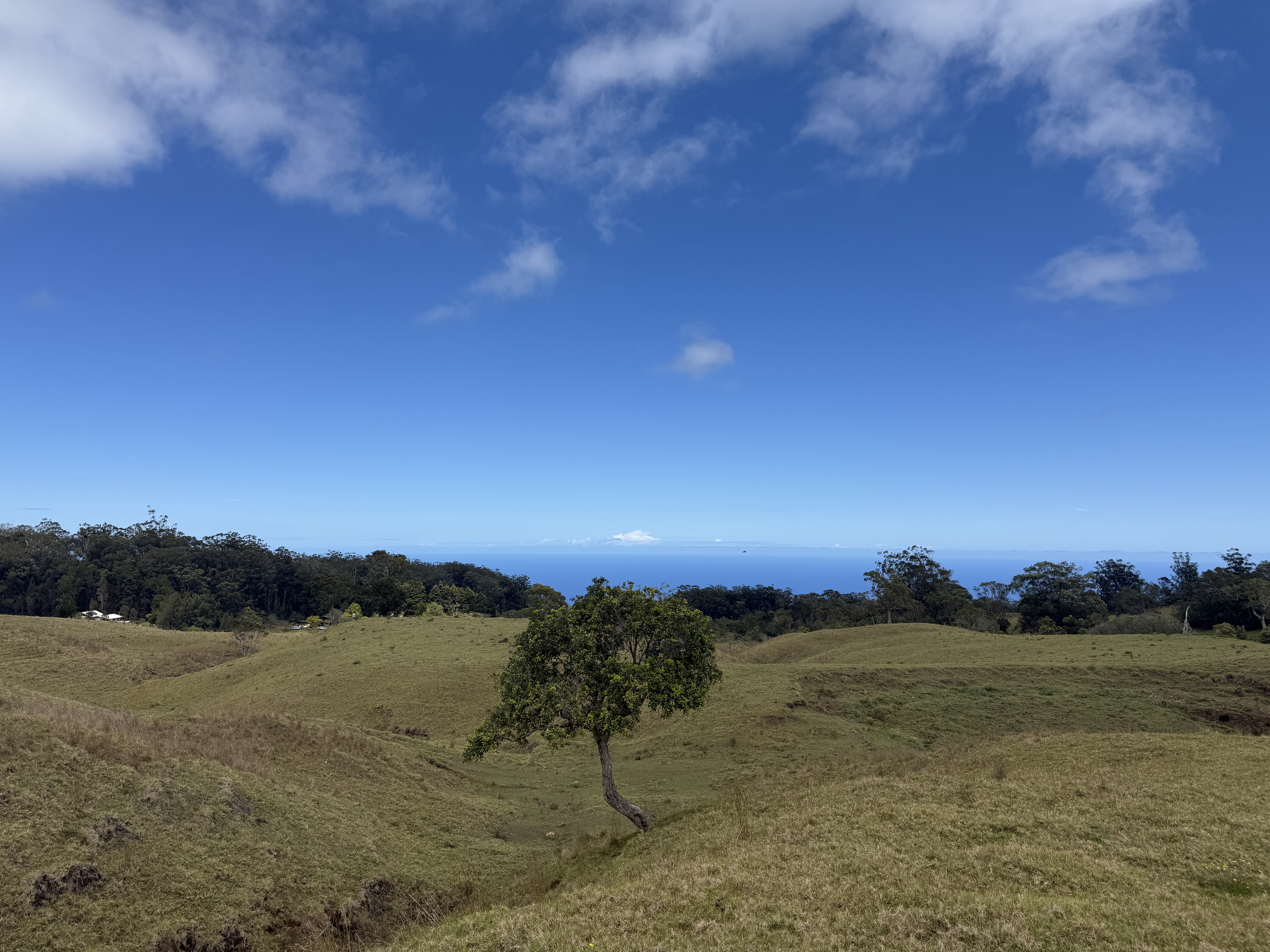 44-2135 Pohakealani Road Paauilo, HI 96776 - Photo 9 of 28 a view of sunset