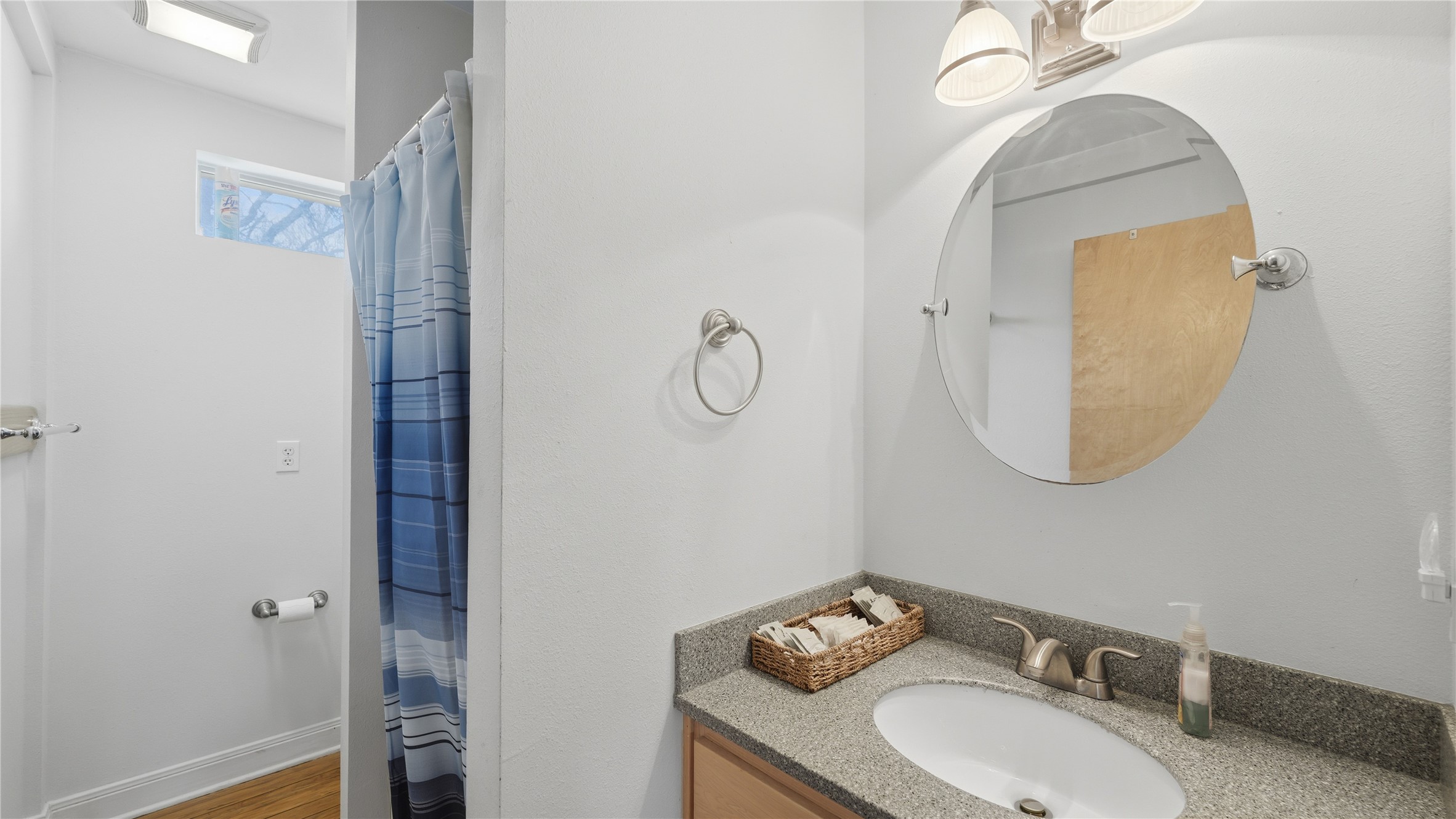 218 Little Ranch Road, Unit E Red Rock, TX 78662 - Photo 16 of 22 Full bath featuring vanity, a shower with curtain, and wood finished floors