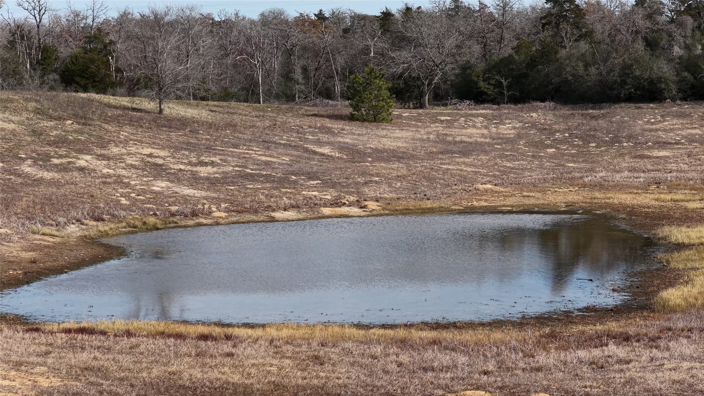 218 Little Ranch Road, Unit E Red Rock, TX 78662 - Photo 2 of 22 Exterior view