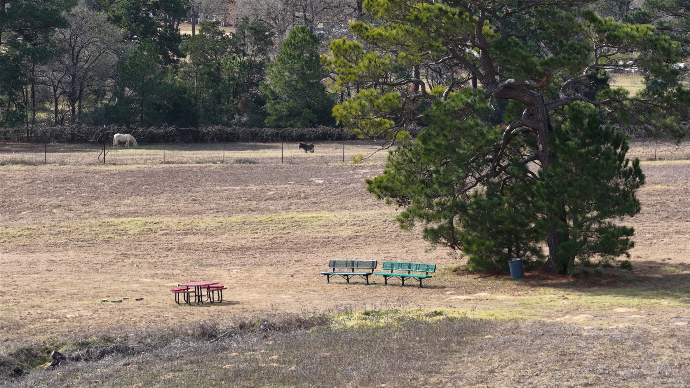 218 Little Ranch Road, Unit E Red Rock, TX 78662 - Photo 21 of 22
