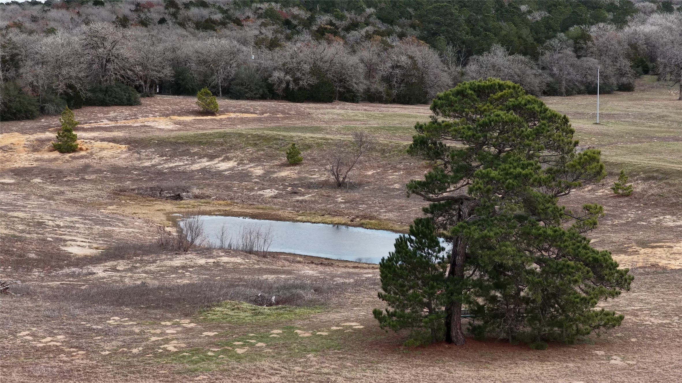 218 Little Ranch Road, Unit E Red Rock, TX 78662 - Photo 3 of 22 View of yard featuring a water view