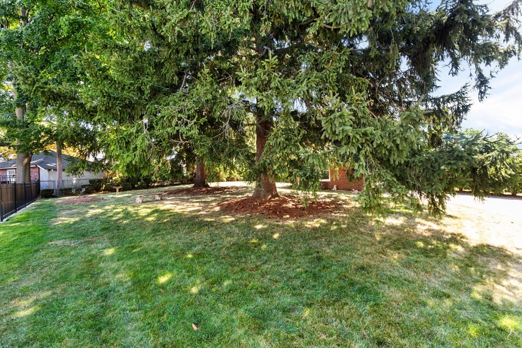 25 Rural Avenue Medford, MA 02155 - Photo 27 of 31 Gallery Image 27