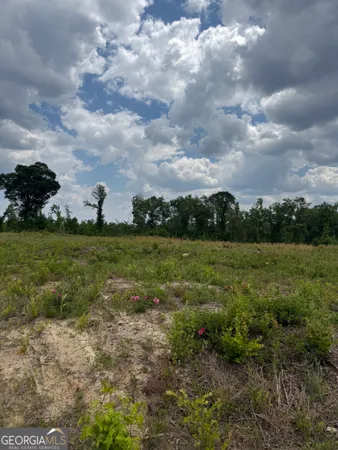 $71,000 | 0 J D Williams Road, Cadwell, GA 31009