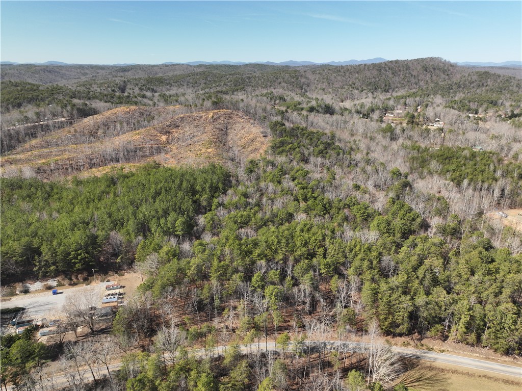 Tract B Old Unity Road Westminster, SC 29693 - Photo 2 of 12 This expansive lot offers diverse terrain and abundant greenery, ideal for your dream development.