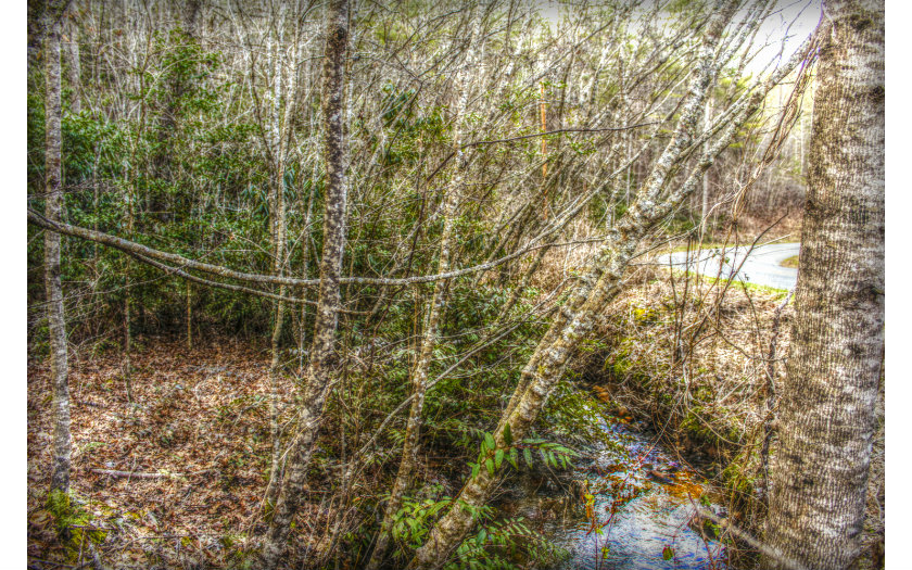 2325 Lower Bear Paw Road Murphy, NC 28906 - Photo 1 of 1 Main View