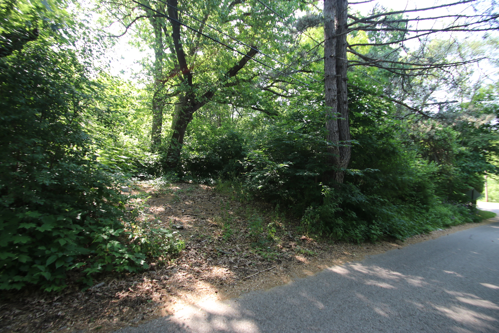 38269 North 4th Avenue Spring Grove, IL 60081 - Photo 2 of 4 a view of outdoor space and trees