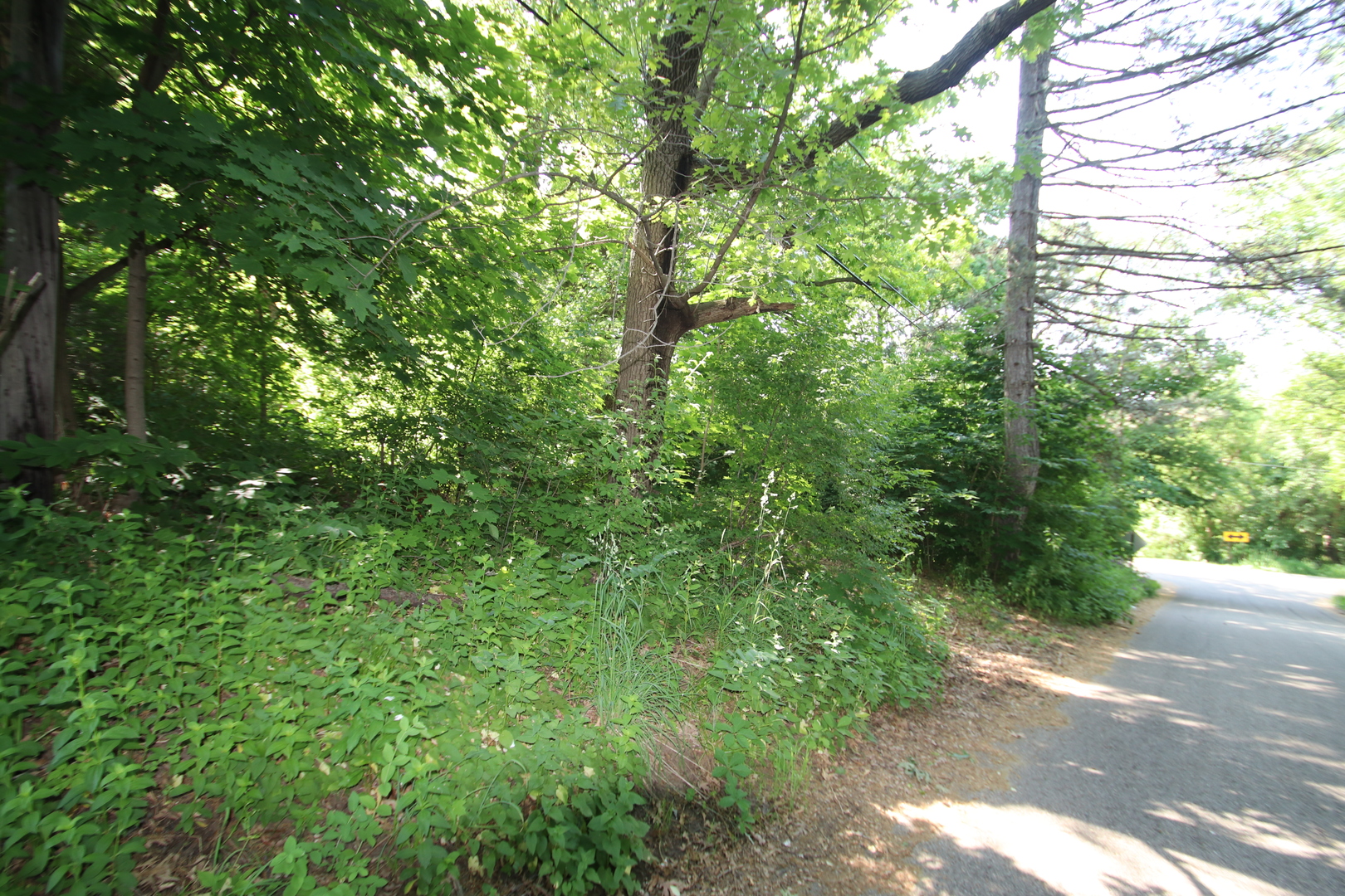 38269 North 4th Avenue Spring Grove, IL 60081 - Photo 3 of 4 a view of a yard with a tree