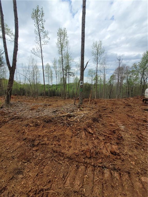3 Auraria Road Dawsonville, GA 30534 - Photo 1 of 1